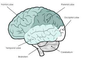 Alzheimer's Disease