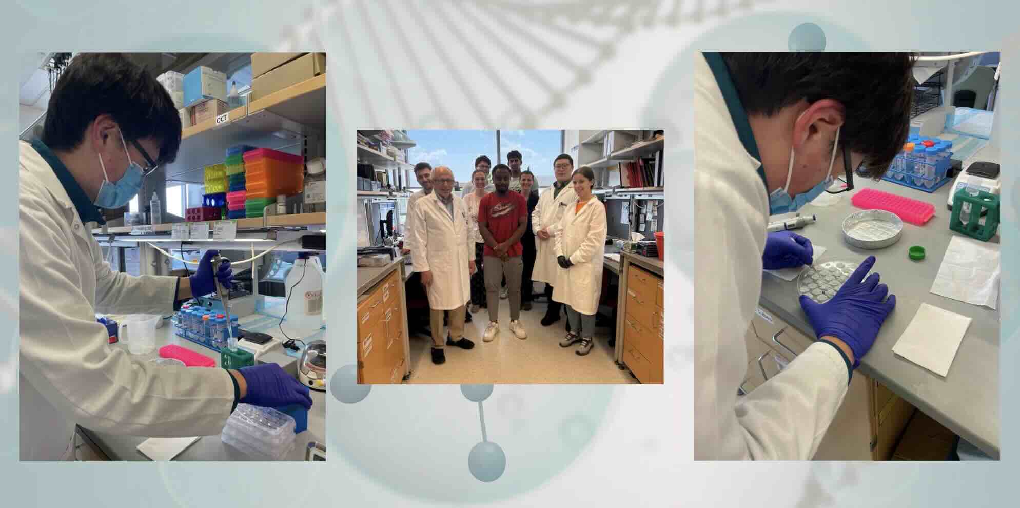 CTF provides the next generation of dementia researchers’ an ...